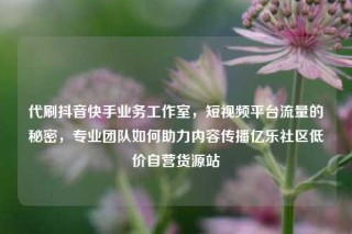 代刷抖音快手业务工作室，短视频平台流量的秘密，专业团队如何助力内容传播亿乐社区低价自营货源站