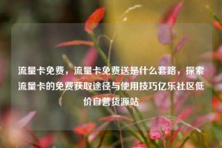 流量卡免费，流量卡免费送是什么套路，探索流量卡的免费获取途径与使用技巧亿乐社区低价自营货源站