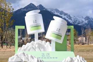 调整、提级、蓄力：上海家化的三重奏