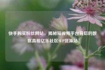 快手购买粉丝网站，揭秘短视频平台背后的数据真相亿乐社区SUP货源站