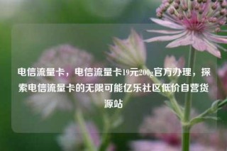 电信流量卡，电信流量卡19元200g官方办理，探索电信流量卡的无限可能亿乐社区低价自营货源站