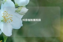抖音涨粉黑科技