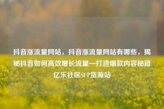 抖音涨流量网站，抖音涨流量网站有哪些，揭秘抖音如何高效增长流量—打造爆款内容秘籍亿乐社区SUP货源站