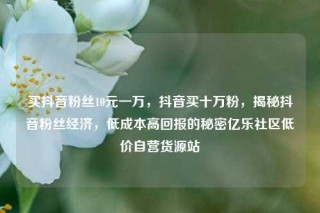买抖音粉丝10元一万，抖音买十万粉，揭秘抖音粉丝经济，低成本高回报的秘密亿乐社区低价自营货源站