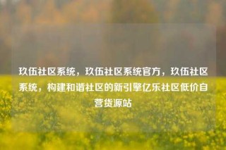 玖伍社区系统，玖伍社区系统官方，玖伍社区系统，构建和谐社区的新引擎亿乐社区低价自营货源站