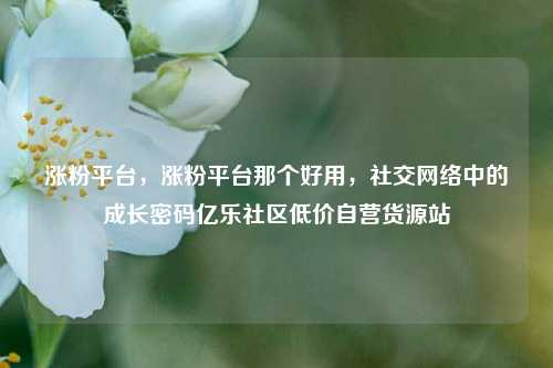 涨粉平台	，涨粉平台那个好用，社交网络中的成长密码亿乐社区低价自营货源站  第1张