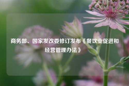 商务部、国家发改委修订发布《餐饮业促进和经营管理办法》  第1张