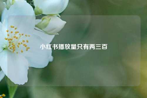 小红书播放量只有两三百  第1张