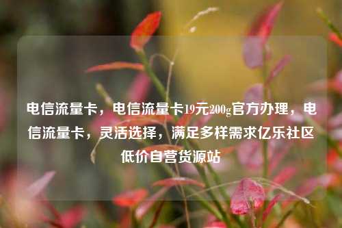电信流量卡，电信流量卡19元200g官方办理，电信流量卡	，灵活选择，满足多样需求亿乐社区低价自营货源站  第1张