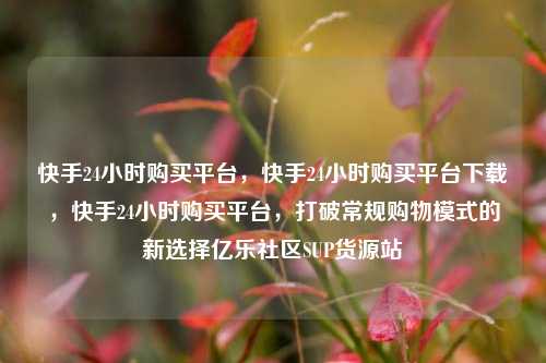 快手24小时购买平台，快手24小时购买平台下载	，快手24小时购买平台，打破常规购物模式的新选择亿乐社区SUP货源站  第1张