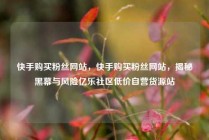 快手购买粉丝网站，快手购买粉丝网站，揭秘黑幕与风险亿乐社区低价自营货源站
