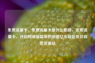 免费流量卡，免费流量卡是什么套路，免费流量卡，开启网络新篇章的钥匙亿乐社区低价自营货源站