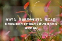 涨粉平台，微信视频号涨粉平台，崛起之路，探索新兴的涨粉平台策略与实践亿乐社区低价自营货源站
