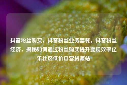 抖音粉丝购买	，抖音粉丝业务套餐，抖音粉丝经济，揭秘如何通过粉丝购买提升变现效率亿乐社区低价自营货源站  第1张