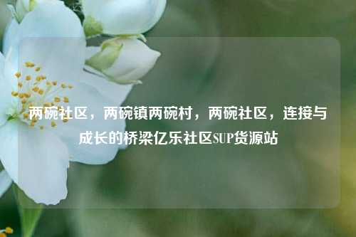 两碗社区，两碗镇两碗村，两碗社区	，连接与成长的桥梁亿乐社区SUP货源站  第1张