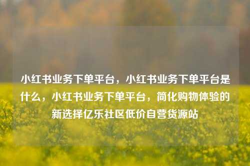 小红书业务下单平台，小红书业务下单平台是什么，小红书业务下单平台	，简化购物体验的新选择亿乐社区低价自营货源站  第1张